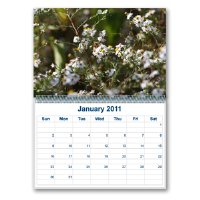 Calendars