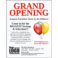 Flyers 8.5" x 11" (Advanced)